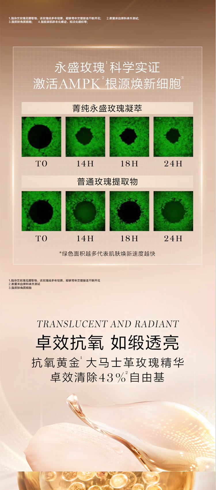 20260724041053443.jpg